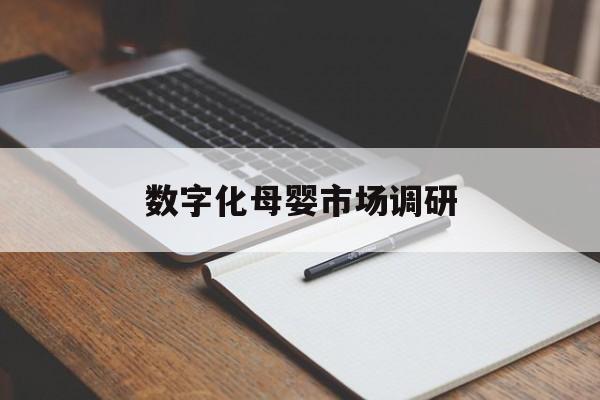 安顺市数字化母婴市场调研(数字化母婴市场调研报告)