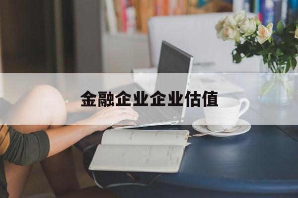安顺市金融企业企业估值(最新企业估值怎么填)